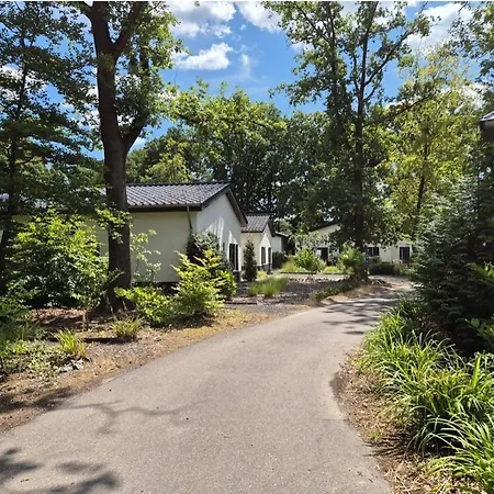 펜션 Luxe Recreatiewoning Midden In Bosrijke Omgeving 31l Waalre