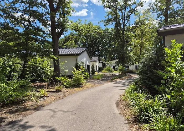 Ferienhaus Luxe Recreatiewoning Midden In Bosrijke Omgeving 31l Waalre